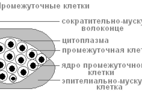 Кракен маркетплейс что там продают